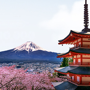 Japan Visa Offer 10% Off